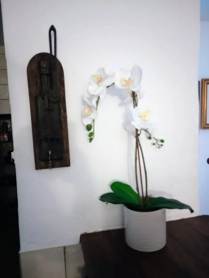 Appartement Casa Jaruf Centro Historico Parking Gratuito Patio Petfriendly à Arcos de la Frontera Espagne