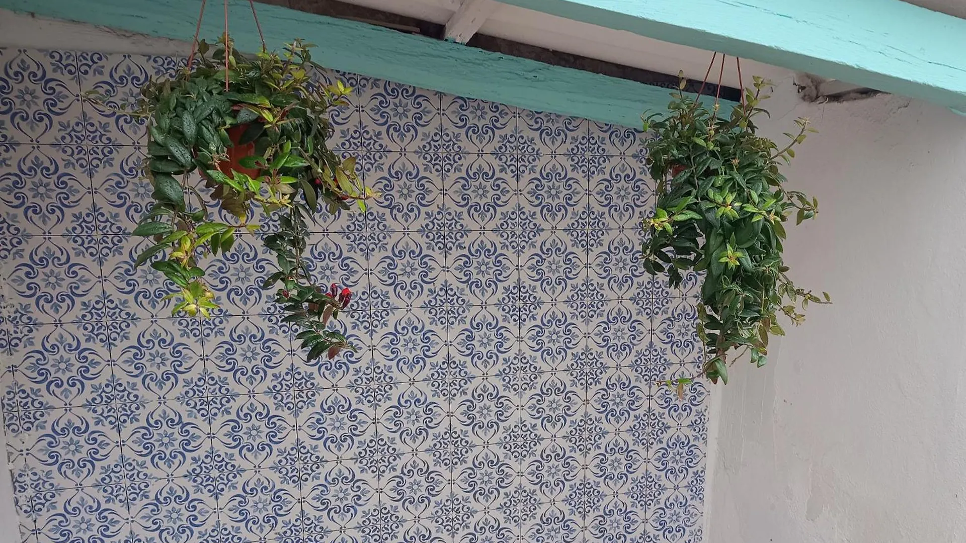 Appartement Casa Jaruf Centro Historico Parking Gratuito Patio Petfriendly à Arcos de la Frontera Espagne